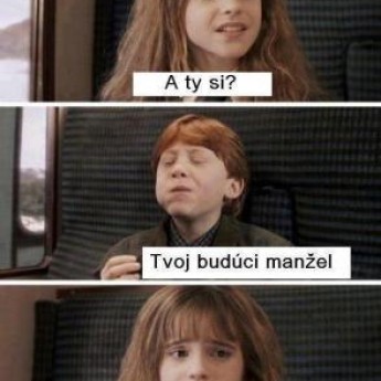 Hermiona a Ron