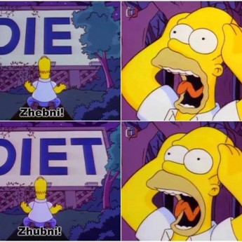 Homer a diéta