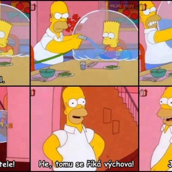 Homerova výchova