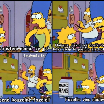 Homer vybavoval poistku