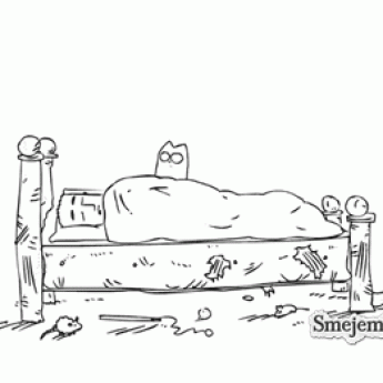 GIF: Mačka budí pána