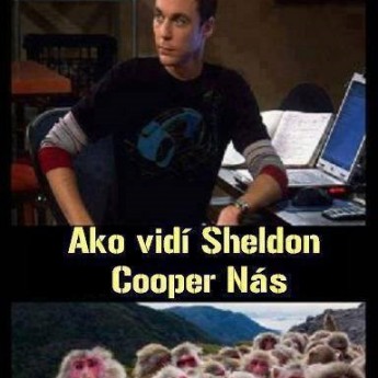 Sheldon vs. ostatní