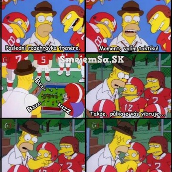 Homer volí stratégiu