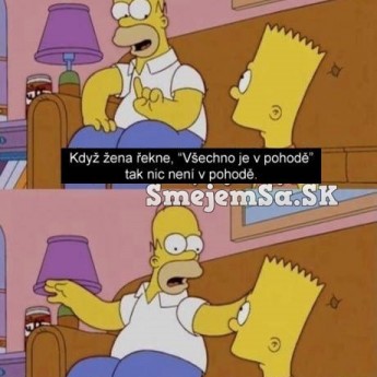 Homer vysvetľuje ženskú logiku