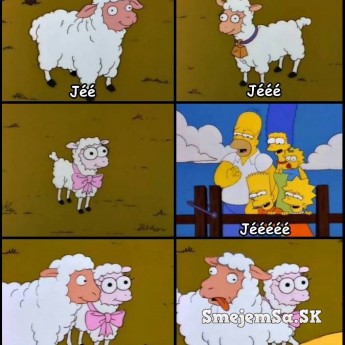 Homer a ovečky
