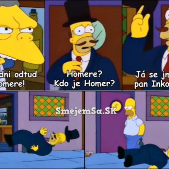 Pán Inkognito a Homer