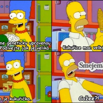 Homer a kukurica