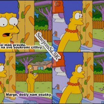 Homer a jeho súkromie
