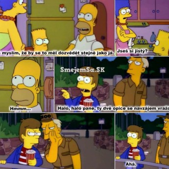 Ako sa Homer dozvedel o tom … :D