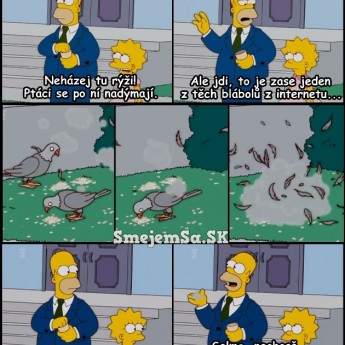 Homer kŕmi vtáky ryžou
