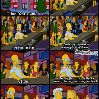 Homer v lesbickom bare