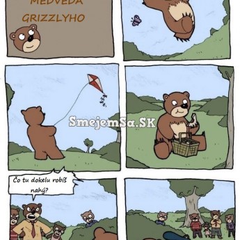 Dobrodružstvá medveďa Grizzlyho