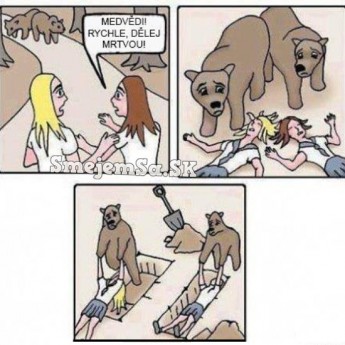 Pozor, medvede!