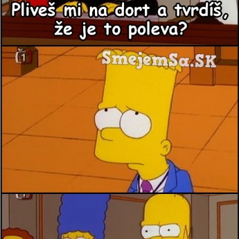 Homer a torty