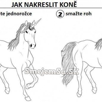 Ako nakresliť koňa
