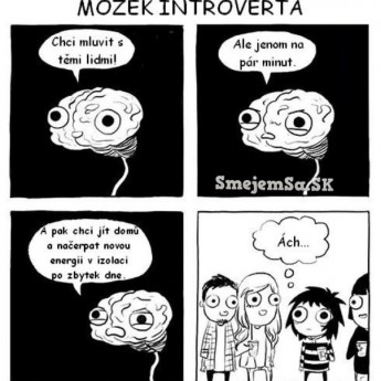 Mozog introverta