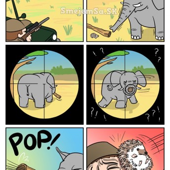 Ako sa slony bránia pred lovcami