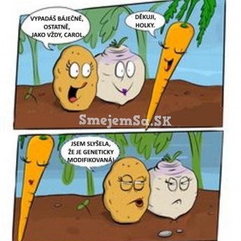 Geneticky modifikovaná mrkva