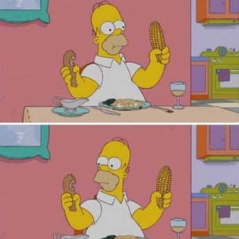 Homer vs. mucha